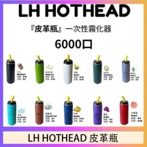 LH HOTHEAD皮革瓶電子煙可充電6000口一次性