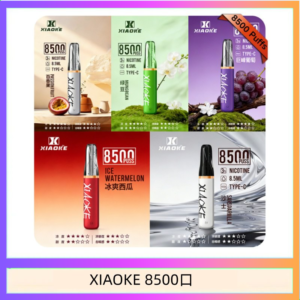 梟客XIAOKE一次性電子菸拋棄式8500口